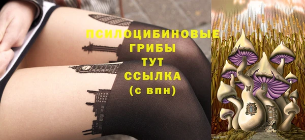 герыч Алзамай