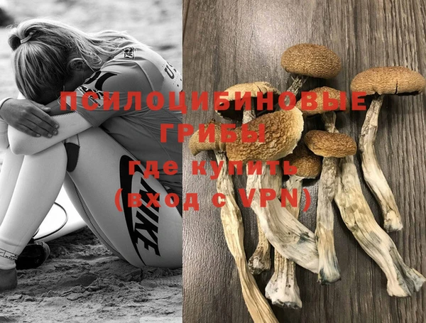 герыч Алзамай