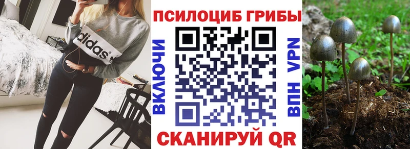 shop наркотические препараты  Усмань  Галлюциногенные грибы прущие грибы 